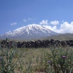 335_a_der_ararat_5165_m