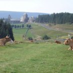 s_117_a_aubrac_