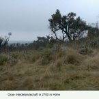 k04-heide_2_2008